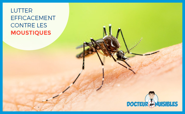 Lutter efficacement contre les moustiques