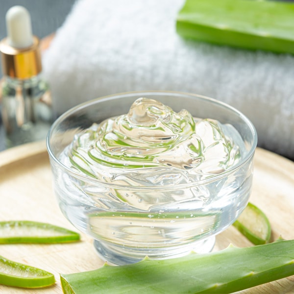 L'aloe vera pour soigner les boutons des punaises
