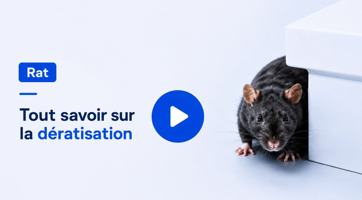 video sur la dératisation