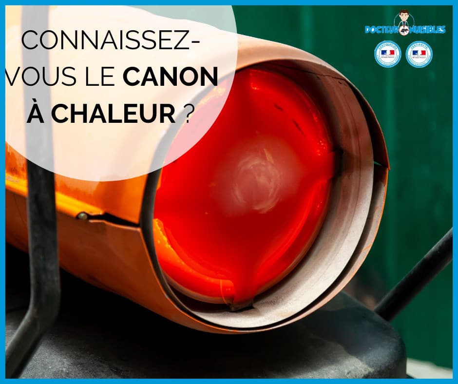 Connaissez vous le canon à chaleur ?