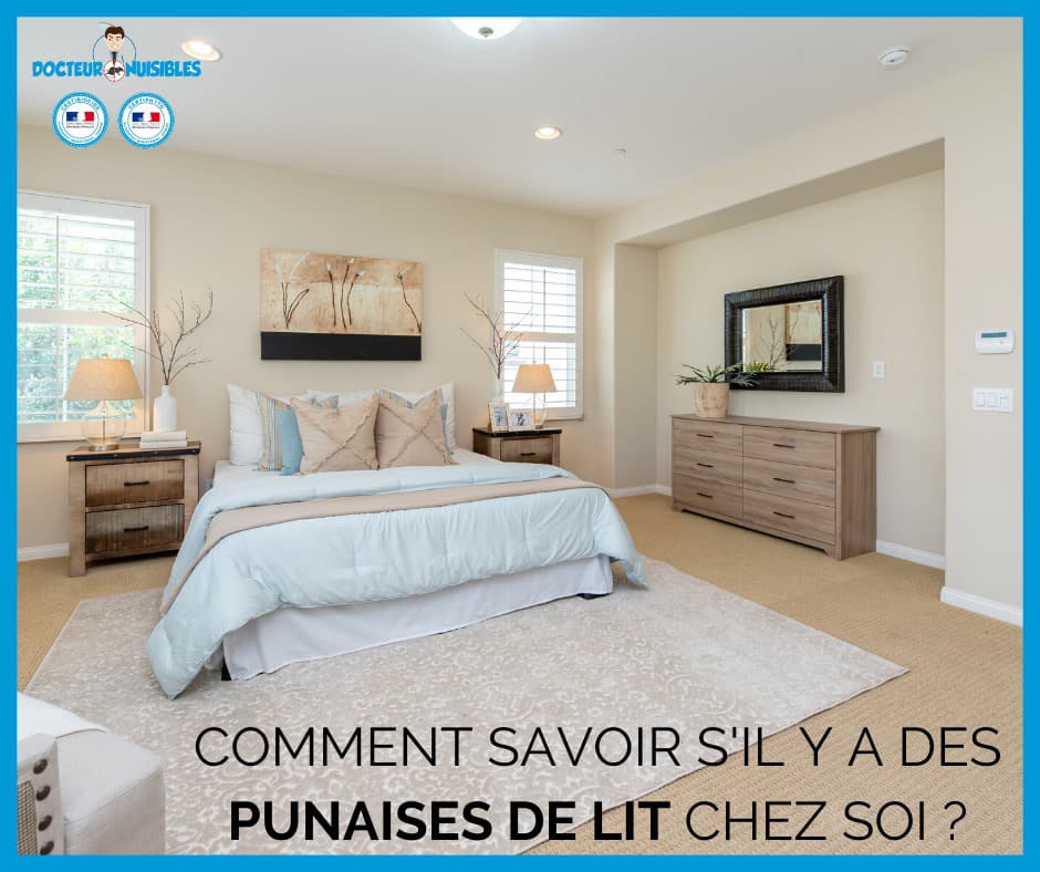 Comment savoir si il y a des punaises de lit chez soi ?