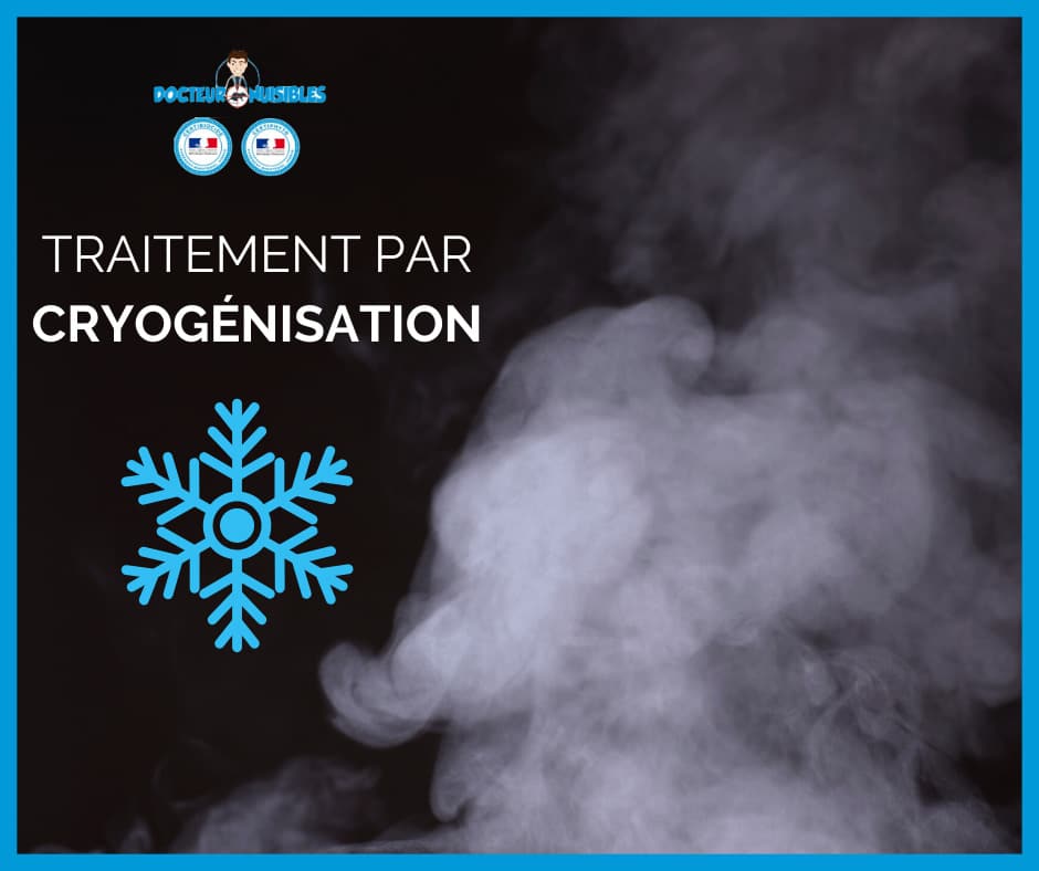 Traitement par cryogénisation