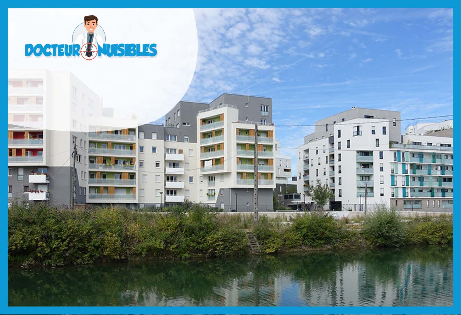 Punaises de lit en Seine-Saint-Denis