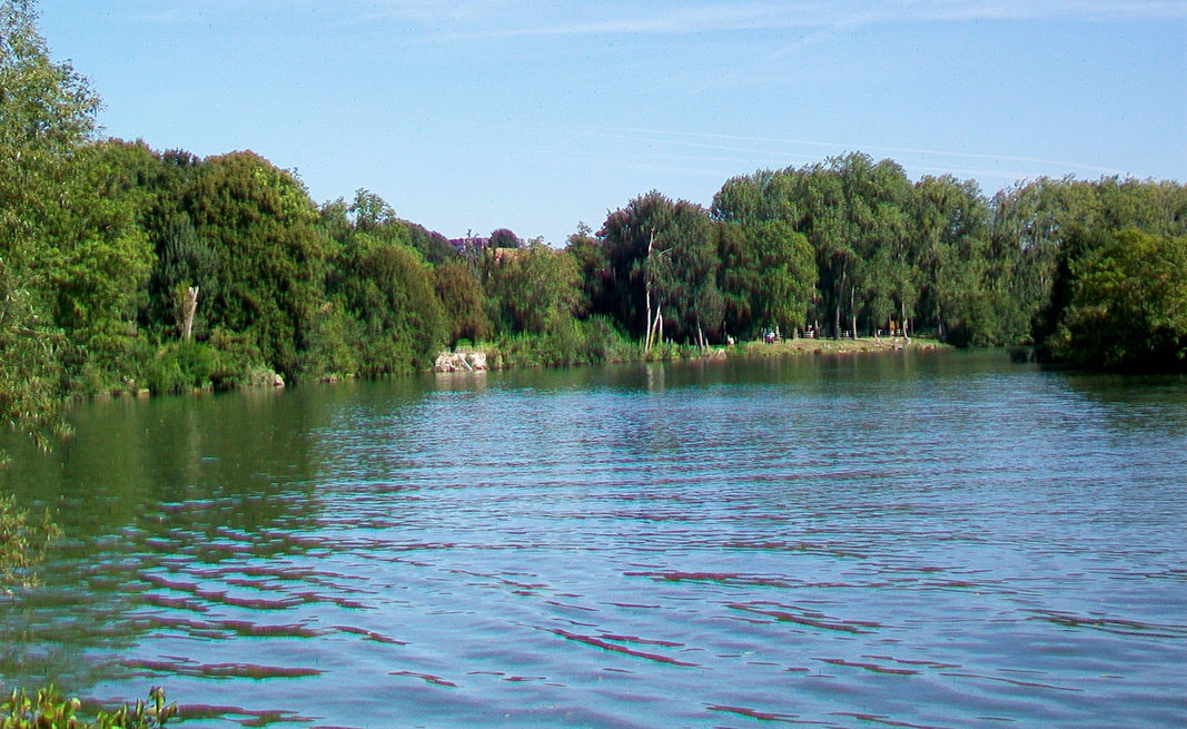 Désinsectisation dans le Val d'oise