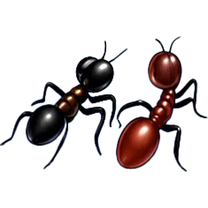 Fourmis