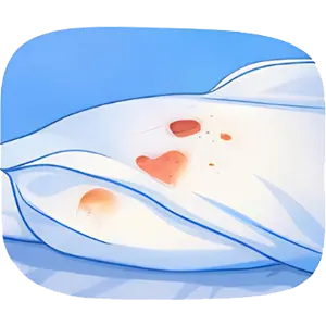 punaise de lit
