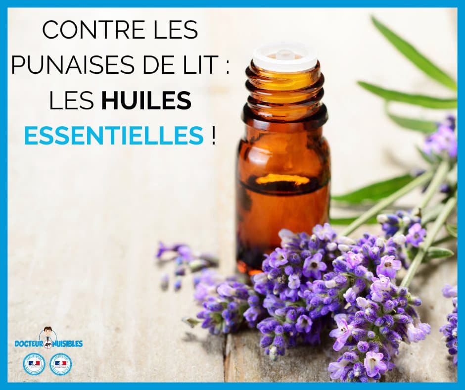 Contre les punaises de lit : Les huiles essentielles !