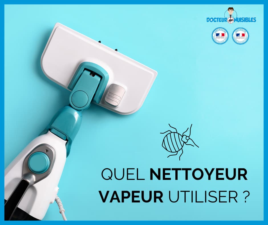 Pour faire face aux punaises de lit, ce nettoyeur à vapeur Kärcher casse  son prix cette