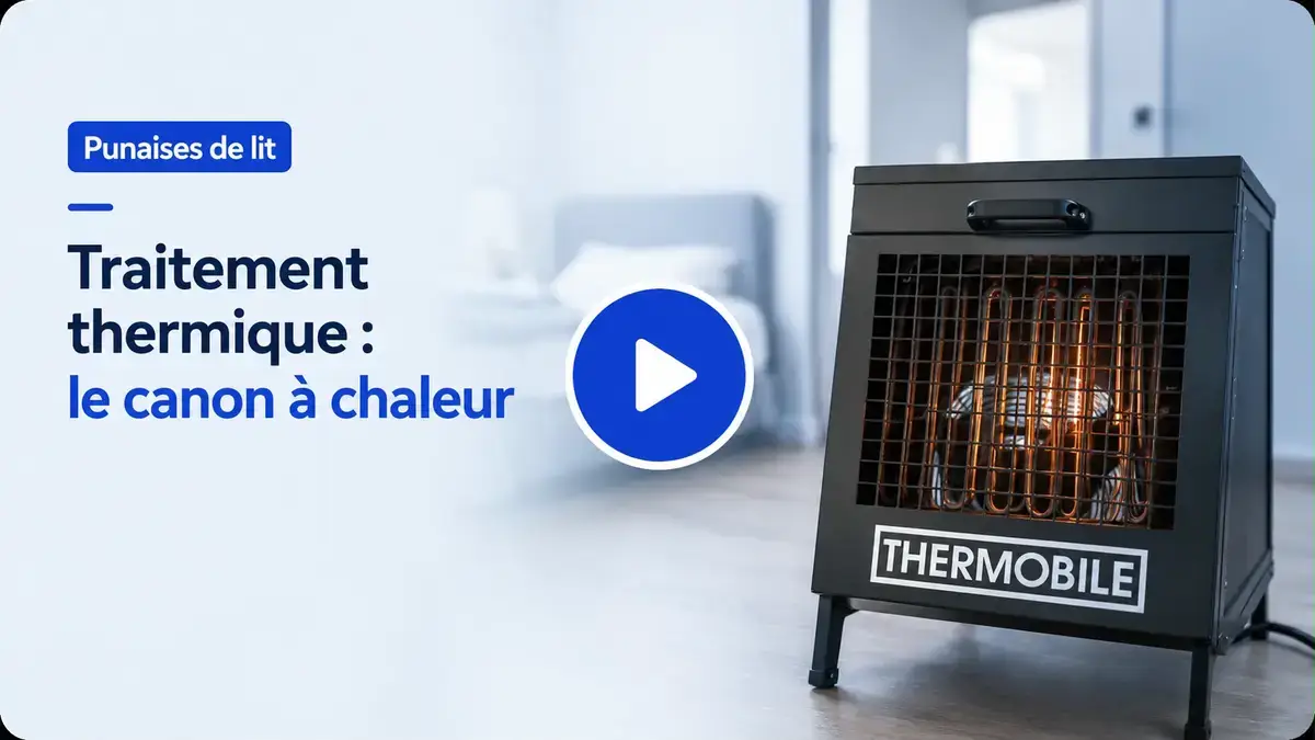 vidéo sur l'extermination des punaises de lit par canon à chaleur