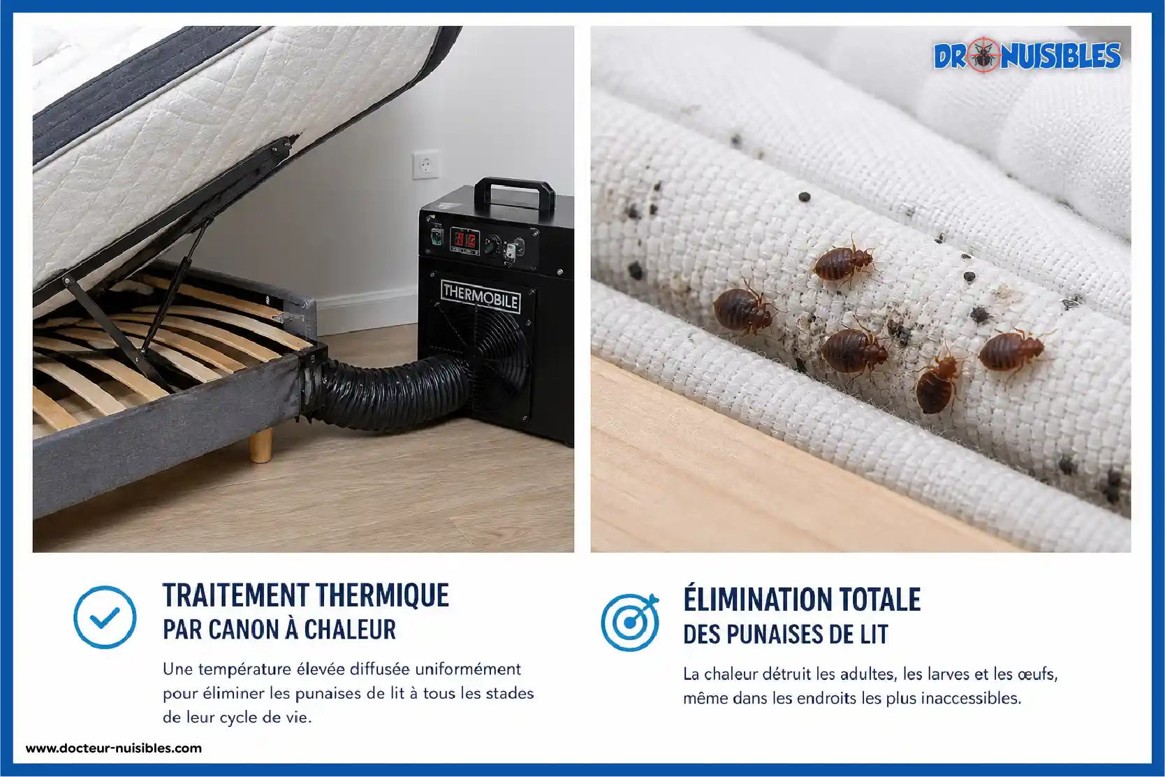 traitement thermique punaises de lit elimination totale adultes larves oeufs matelas sommier