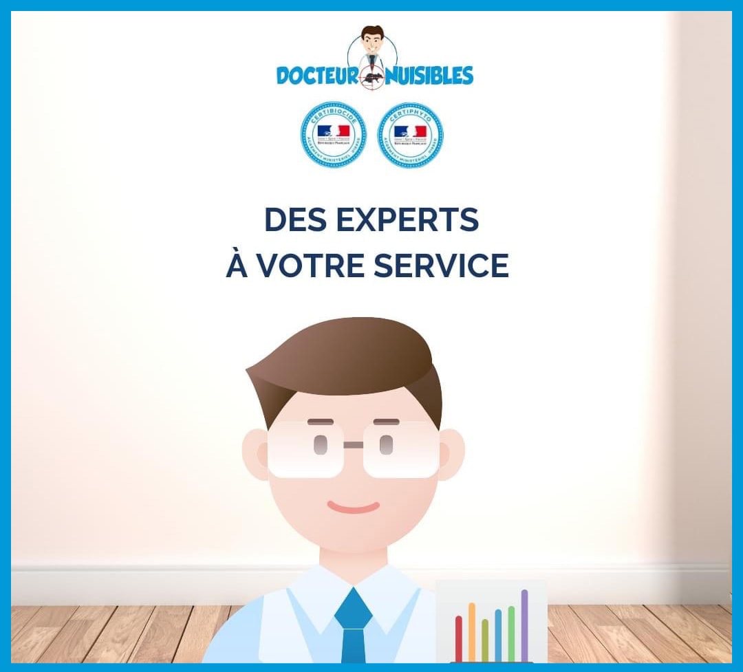 Experts de la désinsectisation à votre service