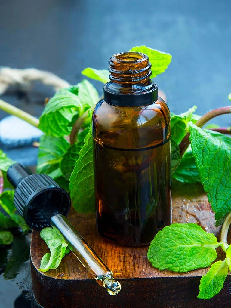 L'huile essentielle de menthe poivrée contre les fourmis