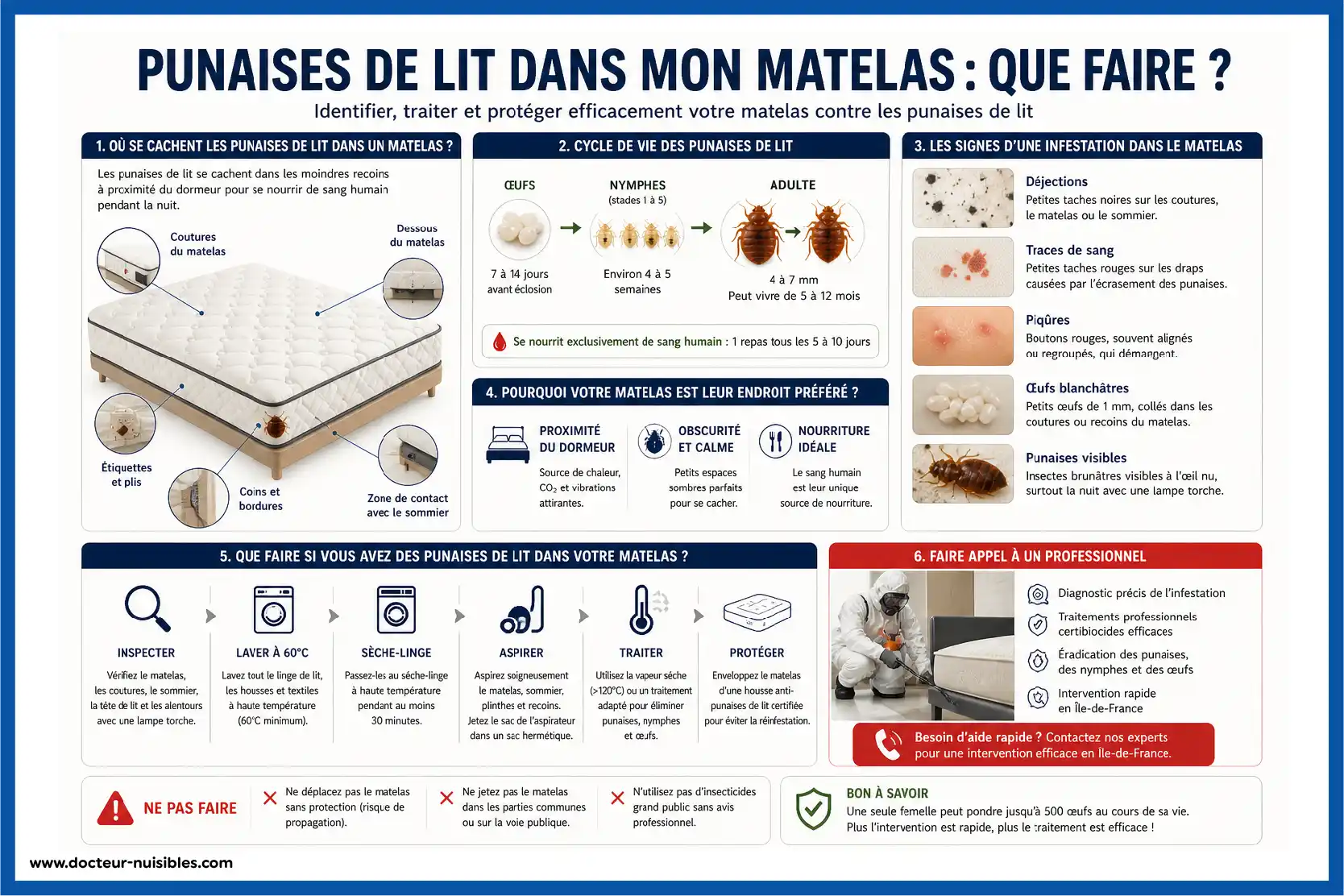 punaises de lit dans matelas que faire signes infestation traitement et solutions