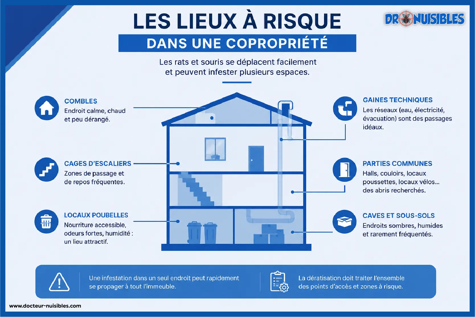 Infographie des zones à risque d’infestation de rats dans une copropriété