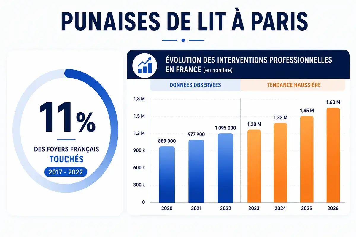 Infographie sur l'évolution des infestations de punaises de lit en France et à Paris