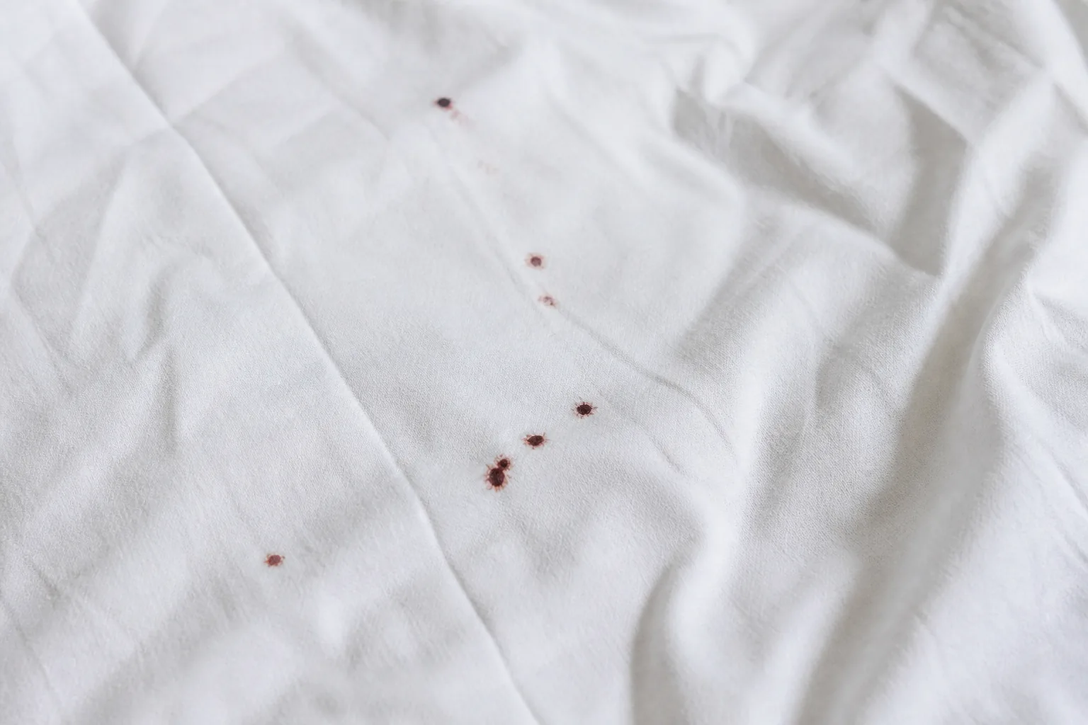 Déjections de punaises de lit : petits points noirs sur couture de matelas blanc