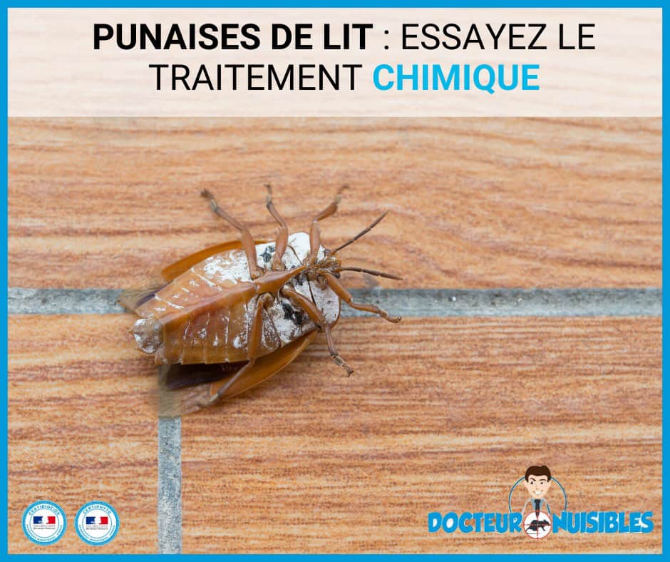 Ne dormez plus en compagnie des punaises !