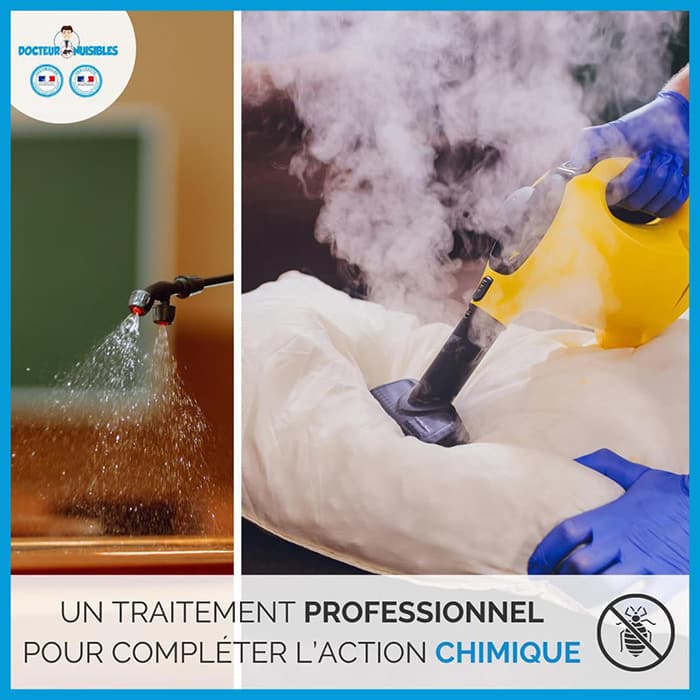 Un traitement professionnel pour compléter l'action chimique