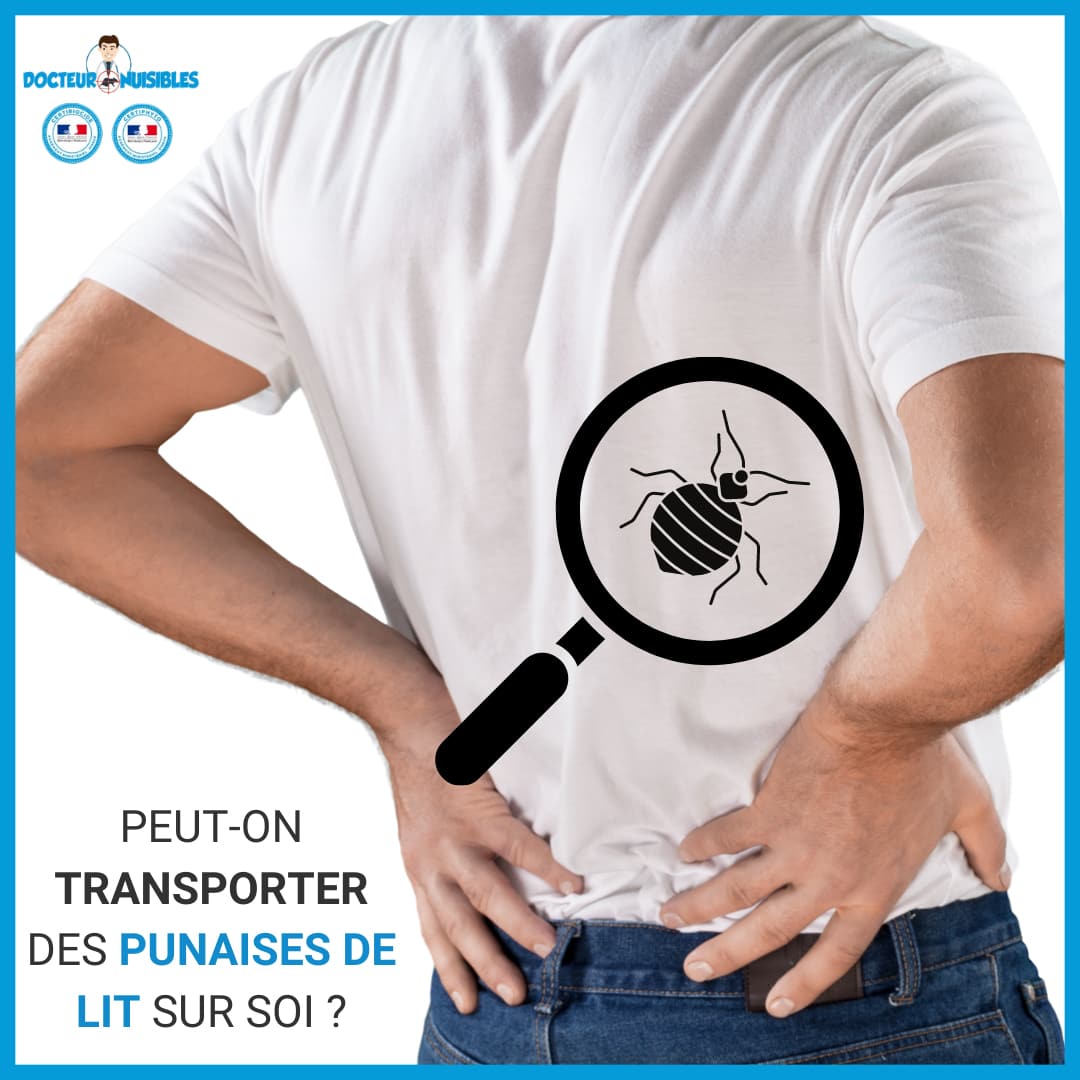 Peut-on transporter des punaises de lit sur soi ?